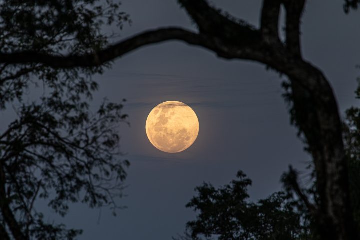 MIM lanza concurso para crear un calendario lunar propio para Chile y Sudamérica