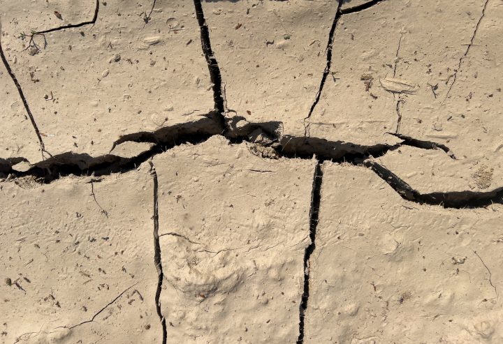 Estudio advierte sobre las 