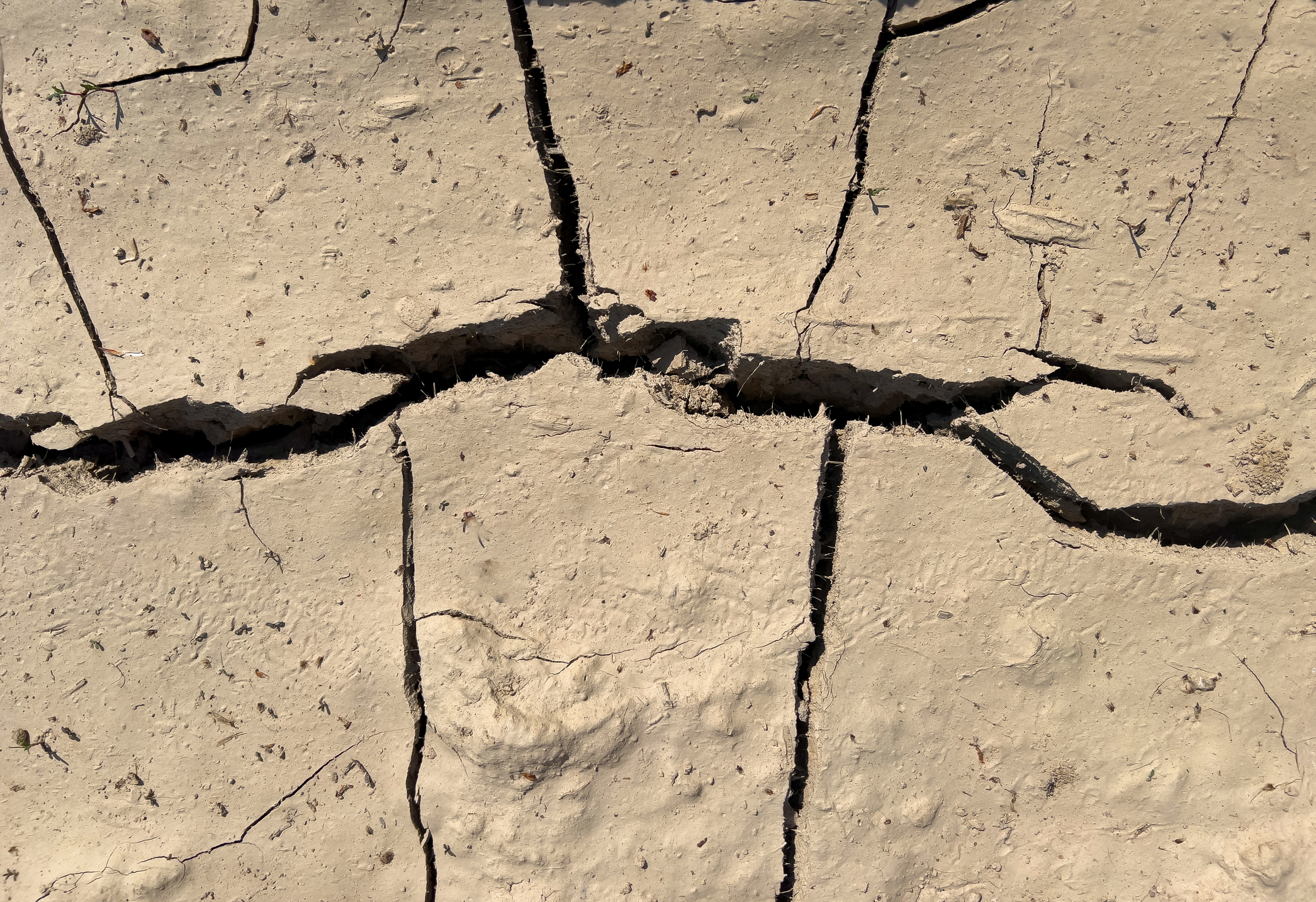 Estudio advierte sobre las 