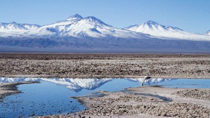 La protección de diez salares en Atacama avanza tras finalización de consulta indígena