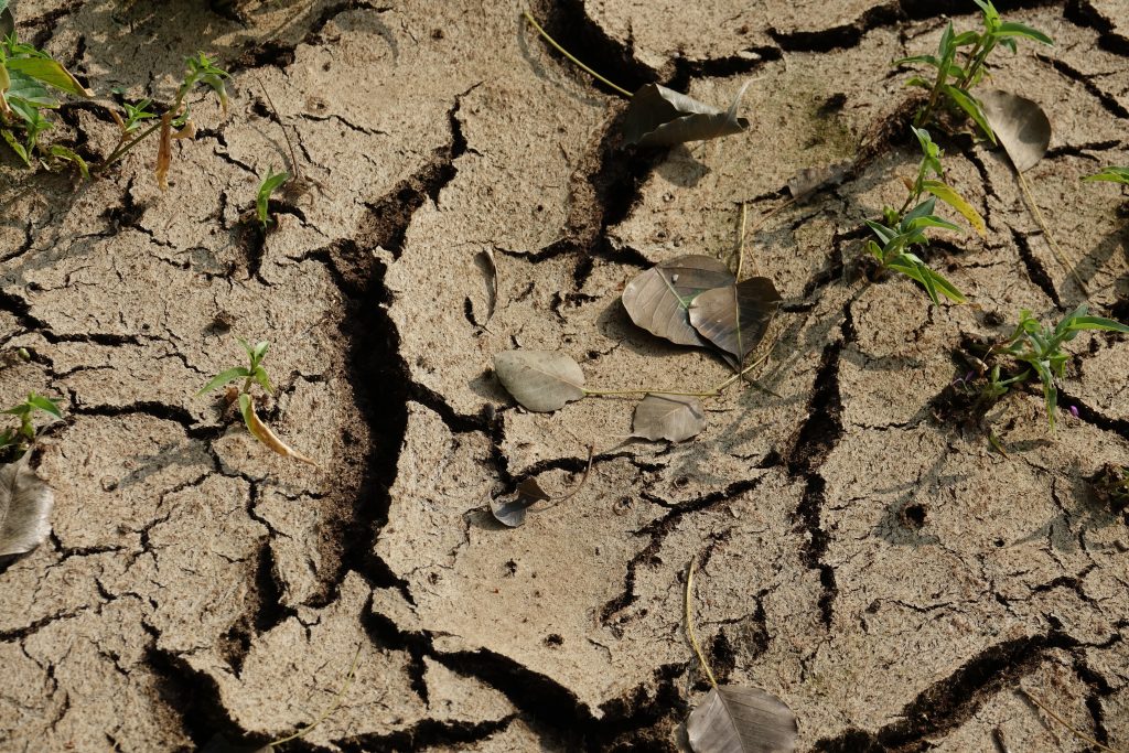 Erosión de suelos: el impacto invisible de la deforestación y la pérdida de cobertura vegetal