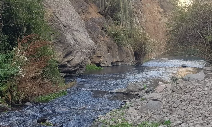 Estero del Arrayán en Lo Barnechea es declarado Humedal Urbano de la Región Metropolitana