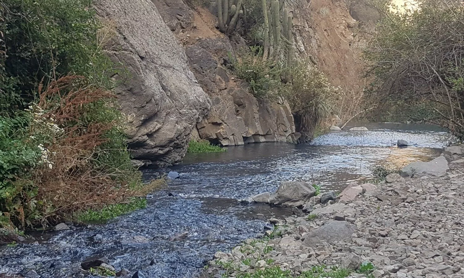 Estero del Arrayán en Lo Barnechea es declarado Humedal Urbano de la Región Metropolitana
