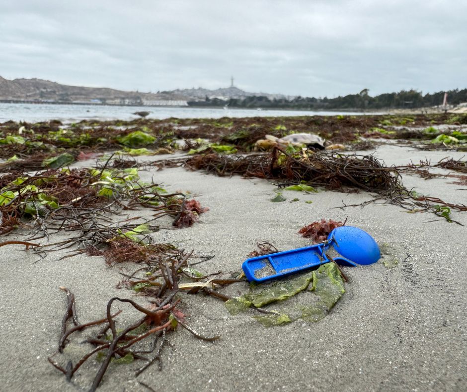 Estudio revela que las lluvias y vientos fuertes arrastran basura a las playas de Coquimbo