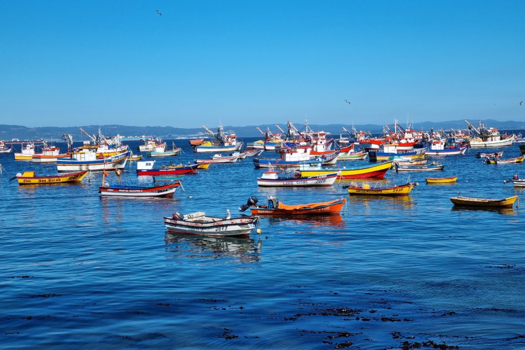 Informe presentado en la COP30 advierte sobre la acidificación oceánica