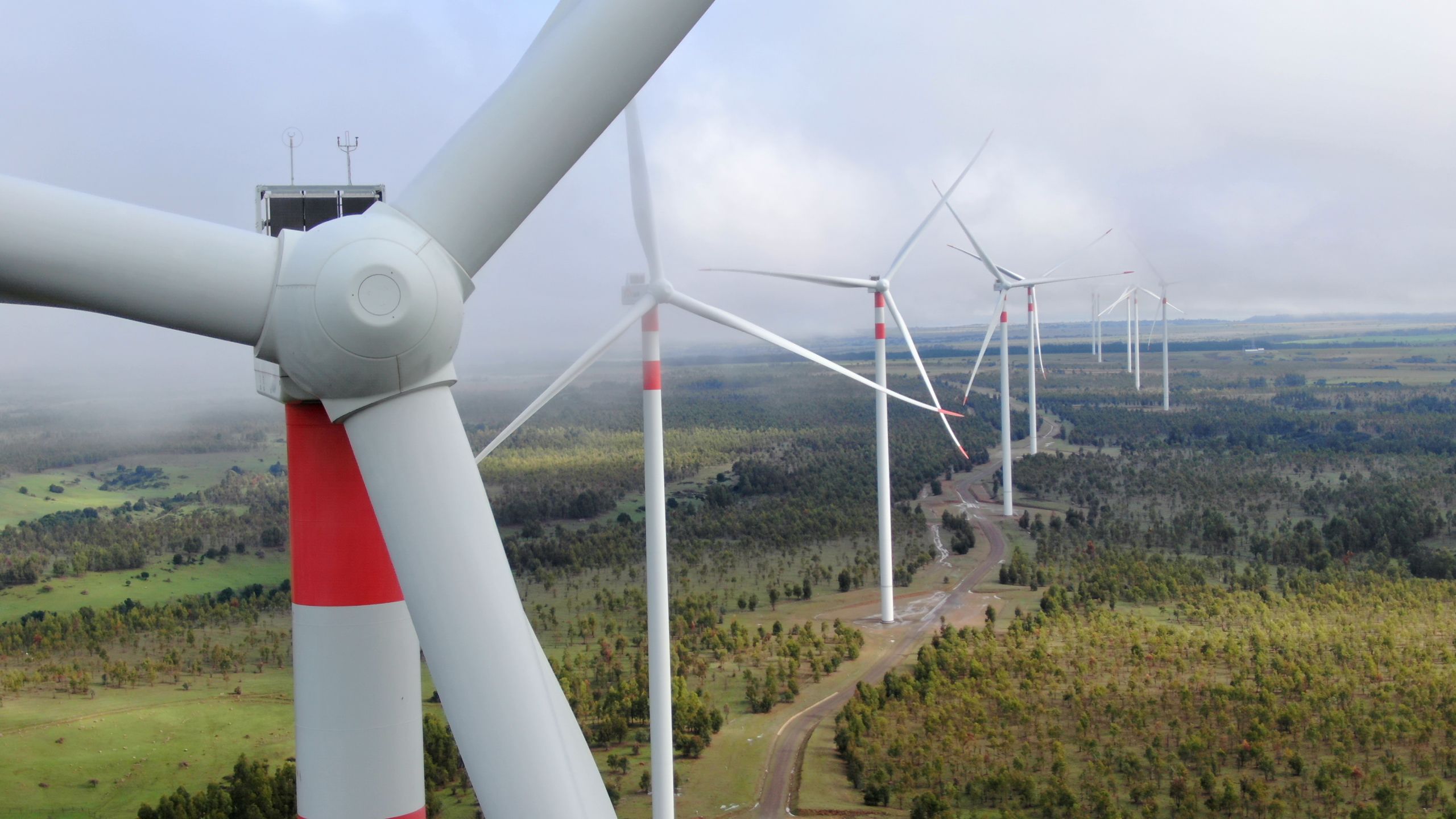 SMA formula cargos contra Parque Eólico La Estrella por muerte de cóndores andinos en O'Higgins