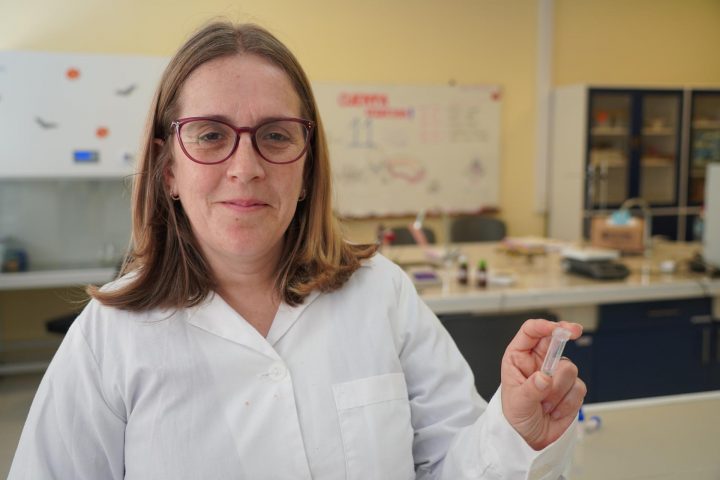 Investigadora desarrolla bioplásticos a partir de glucosa para reemplazar al poliéster