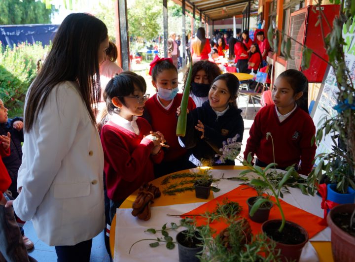Nogales celebra su IV Feria Comunal de Ciencias con foco en innovación y talento científico