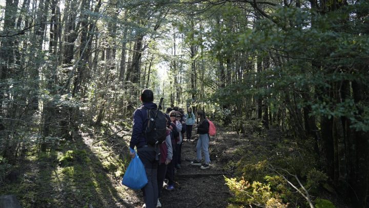 Más de tres mil personas han visitado el Laboratorio Vivo a los pies del Volcán Villarrica