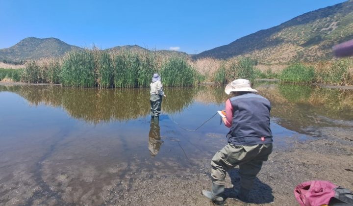 Expediciones revelan cómo la flora invasora 