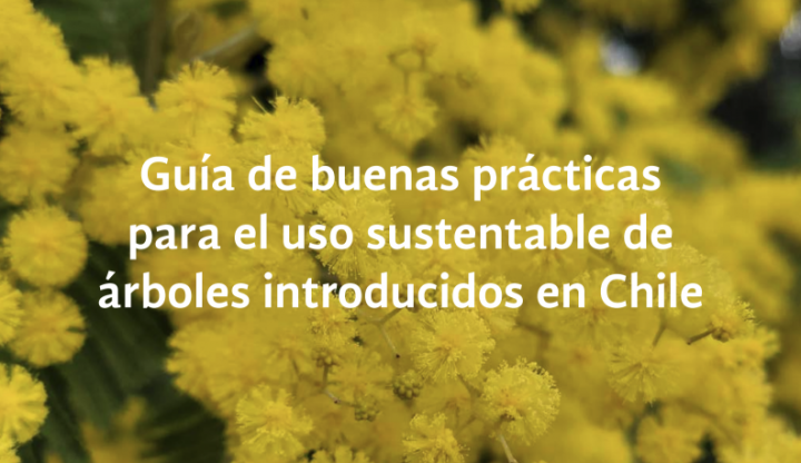 Lanzan guía para el uso sustentable de árboles introducidos en Chile