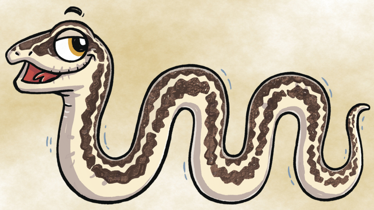 Serpiente de cola larga se convierte en la nueva Embajadora de la Fauna Chilena 2026