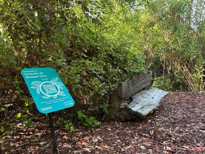 Parquemet inaugura Núcleos de Restauración con método japonés que acelera el crecimiento del bosque