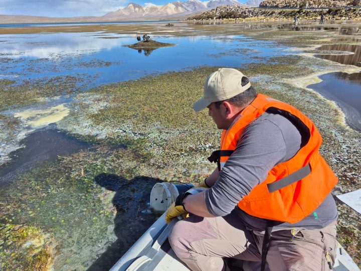 Emergencia ambiental en el Lago Chungará: Equipos han logrado extraer 3.400 litros de aceite