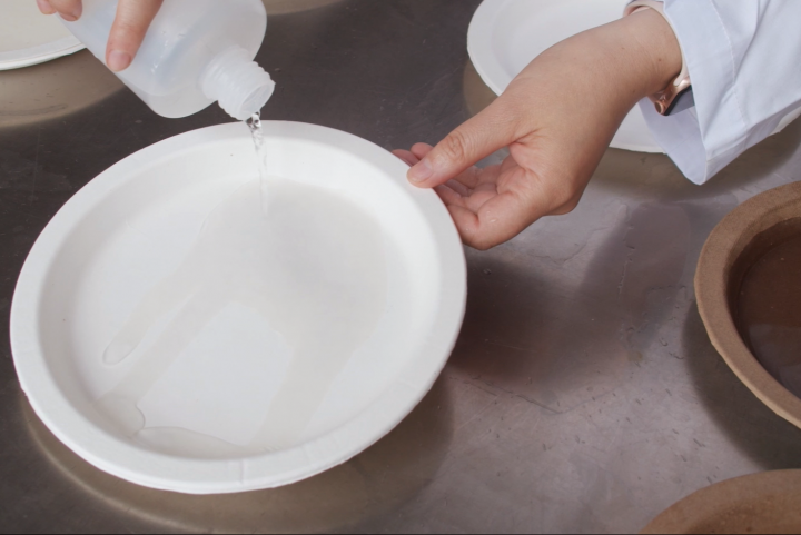 Investigadores crean material biodegradable para reemplazar al plástico en envases