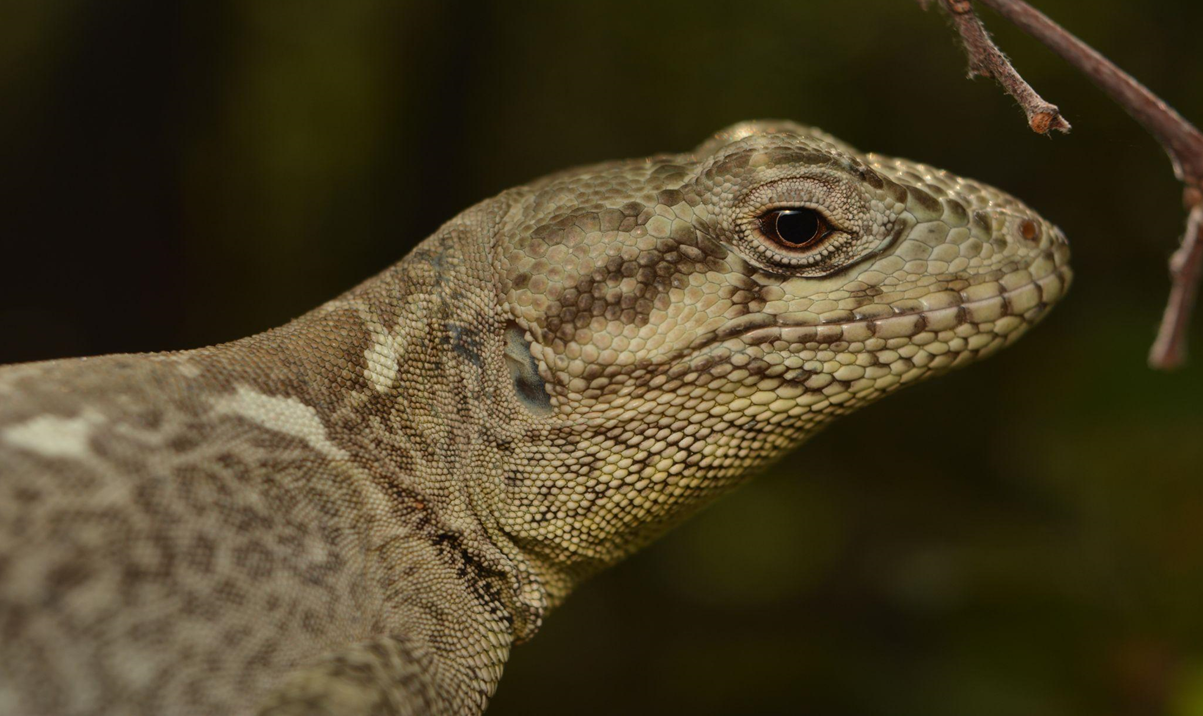 Estudio advierte las amenazas que enfrenta el 