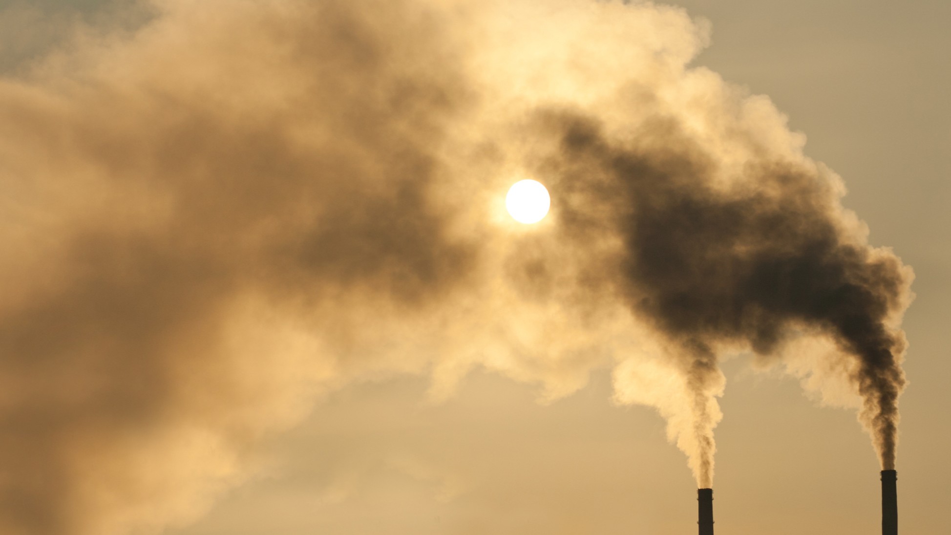 Informe de la OCDE alerta que Chile lidera en contaminación del aire de un total de 38 países