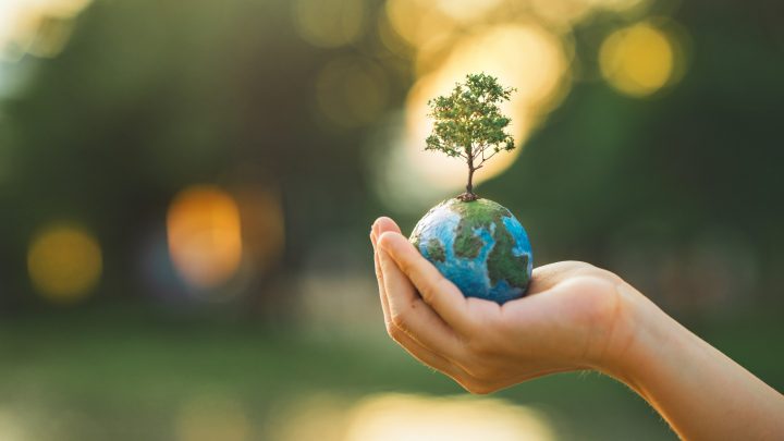 COP30 en Belém: Nuevos desafíos climáticos se suman a los treinta años de acción ambiental