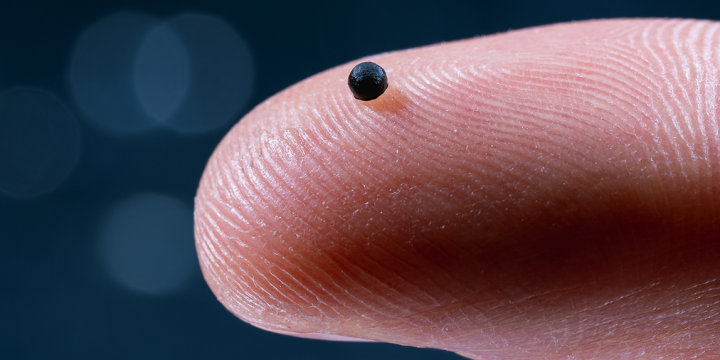 Desarrollan microrrobots capaces de navegar por las arterias para tratar enfermedades