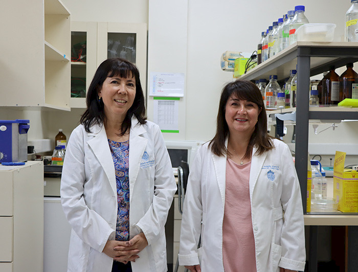 Académicas logran primera transferencia internacional de potencial medicamento contra el Alzhéimer