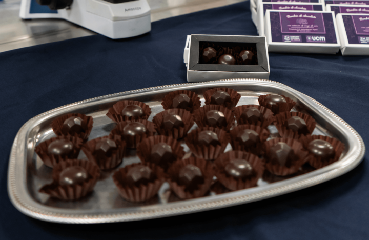 Científicos del Maule desarrollan chocolate que ayuda a prevenir el cáncer gástrico