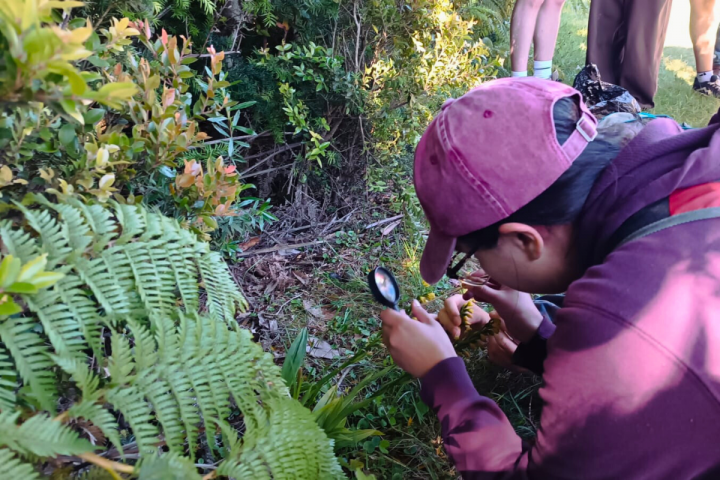 Comunidad de Valdivia se moviliza para monitorear las orquídeas