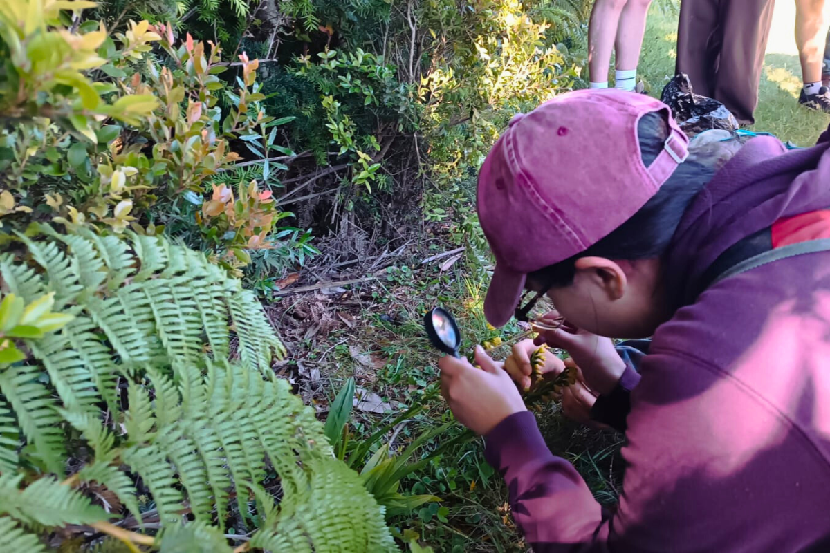 Comunidad de Valdivia se moviliza para monitorear las orquídeas