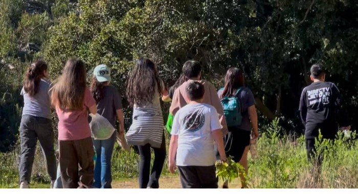 “Guardianes del queule”: Estudiantes de Penco al rescate del árbol prehistórico que convivió con los dinosaurios