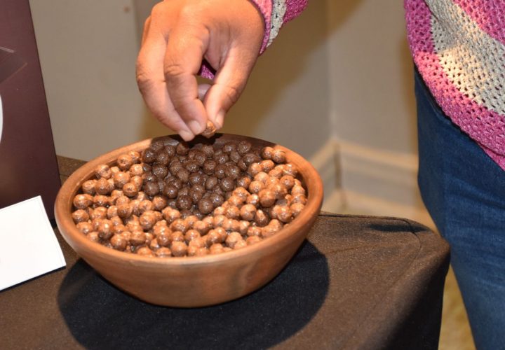 Desarrollan en el Maule cereal de amaranto resistente al cambio climático