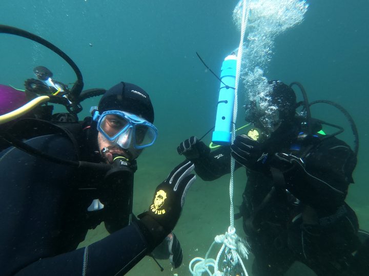 Usarán ADN ambiental para revelar el aporte del huiro gigante al carbono azul