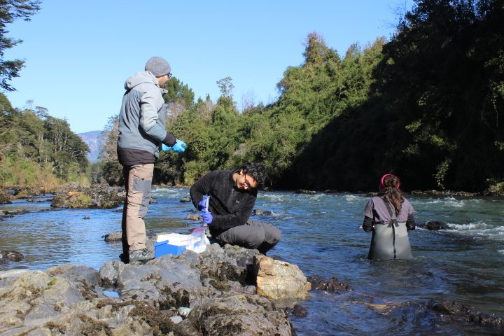 Estudio revela que volcanes del sur de Chile actúan como 