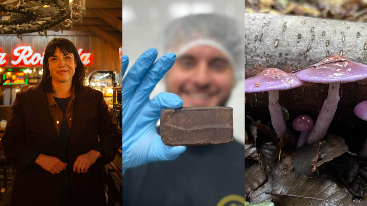 Lo más visto en Cooperativa Ciencia: Temas que marcaron la pauta en 2025