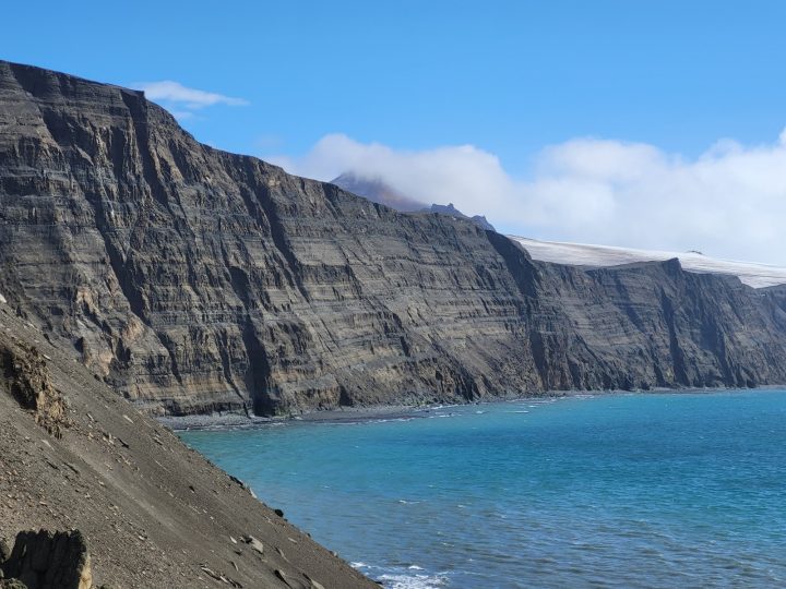 Bosques de Nothofagus sobrevivieron en la Antártica aún después de la gran glaciación