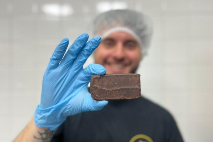 Universitarios desarrollan la primera barra de proteínas en base a insectos producida en Chile