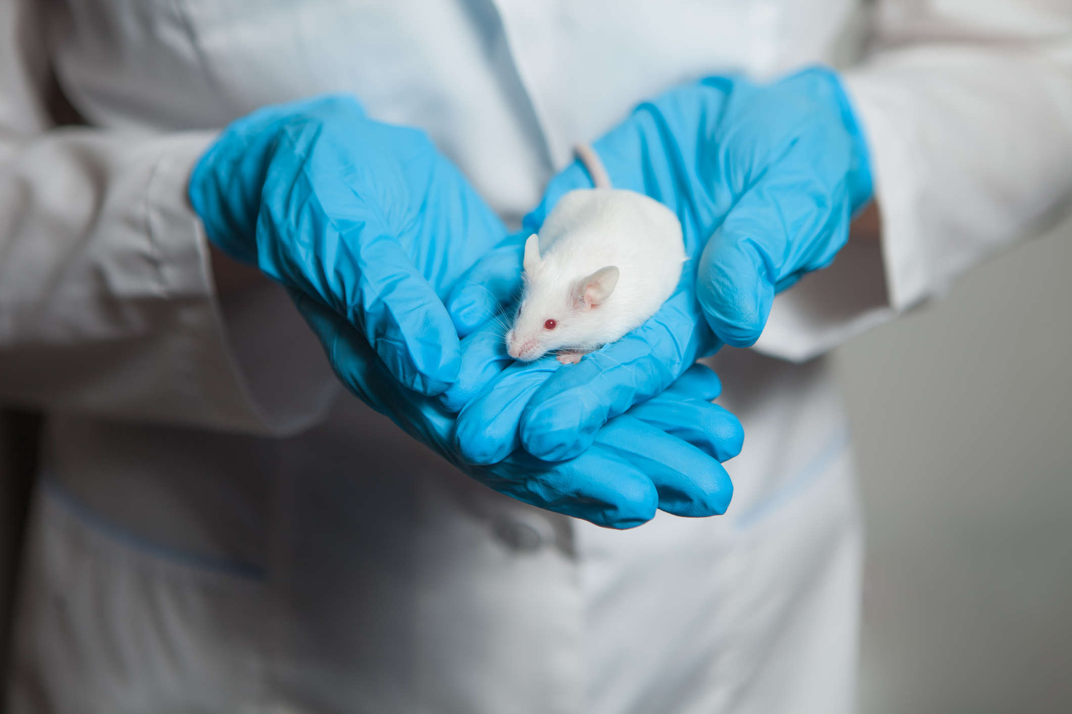 Científicos logran restaurar y 