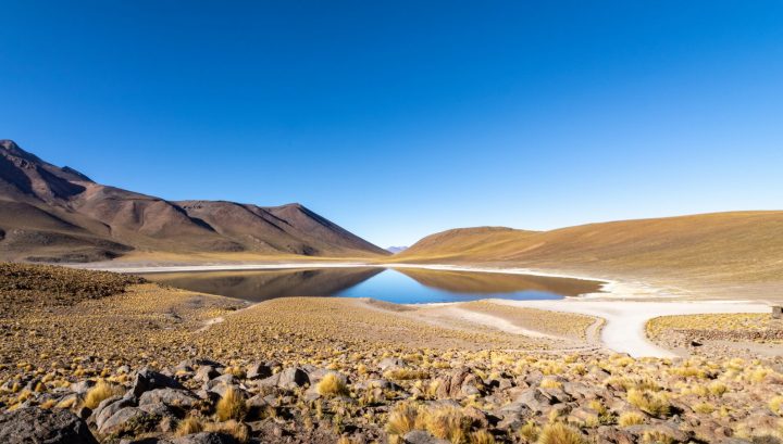 ¿Fue el Desierto de Atacama un lugar verde? Expedición busca reconstruir su historia climática