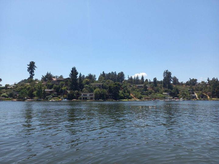 Por qué la eutrofización transformó al Lago Vichuquén en un peligro para la salud pública