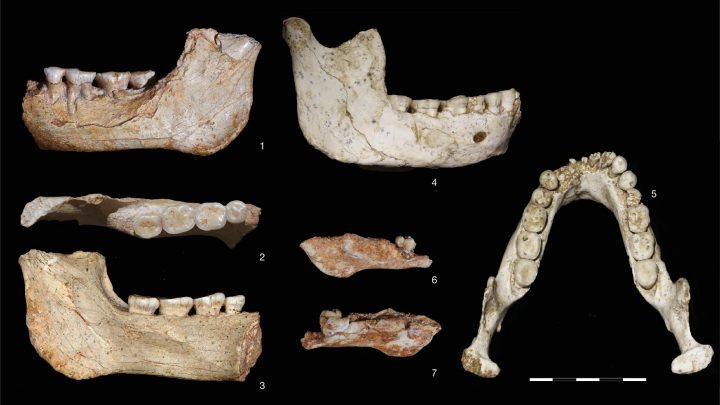Encuentran en Marruecos fósiles de 773 mil años que revelan el origen del Homo sapiens
