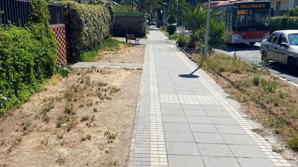 Estudio revela que las veredas son los puntos de mayor diversidad floral en la capital