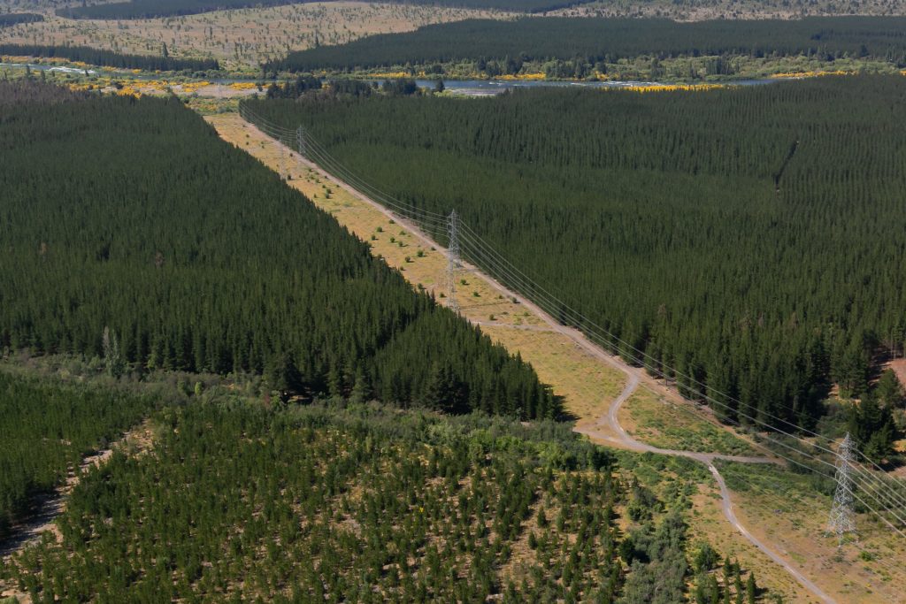 Desarrollan metodología para prevenir incendios forestales en zonas de tendido eléctrico