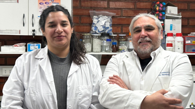 Desarrollan nanopartículas biodegradables para combatir enfermedades de la madera en frutales