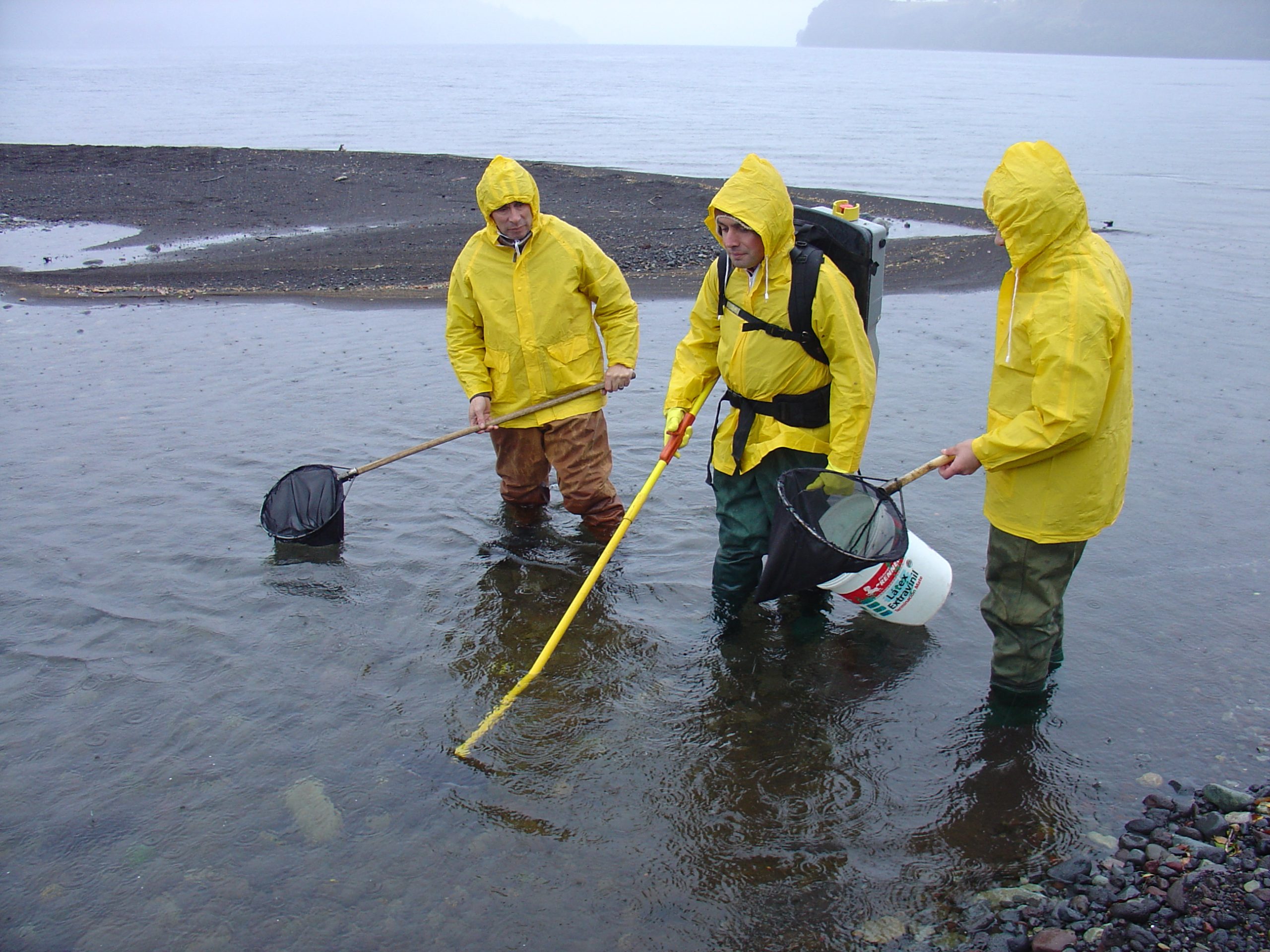 Universidad de Los Lagos impulsa la ciencia regional con proyecto FIU-T por más de $20 mil millones