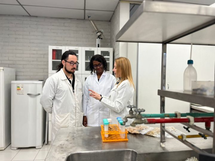 Buscan desarrollar ingredientes basados en sulforafano para innovar en la industria alimentaria