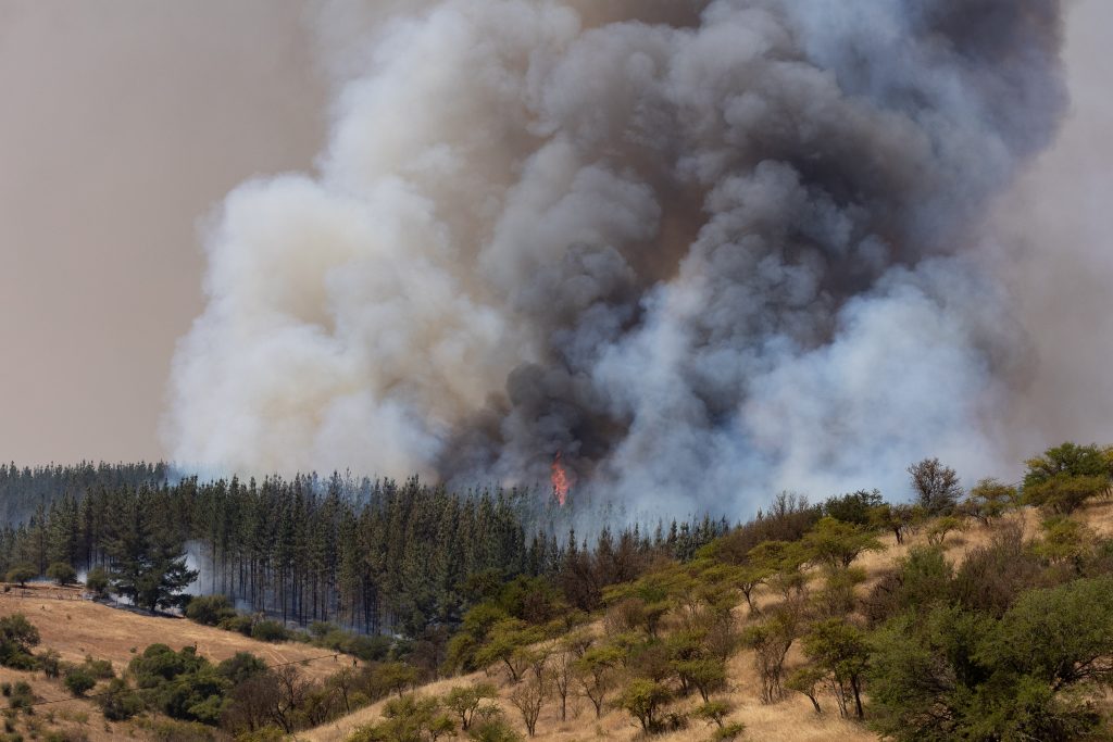 Cómo científicos crearon en «tiempo récord» plataforma que monitorea incendios en el sur del país