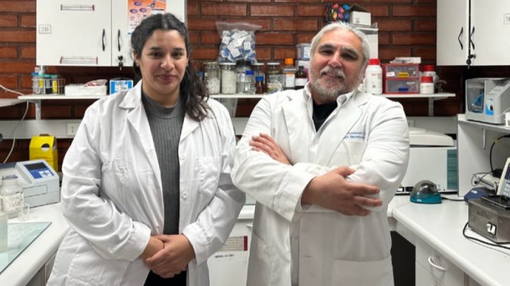 Desarrollan nanopartículas biodegradables para combatir enfermedades de la madera en frutales