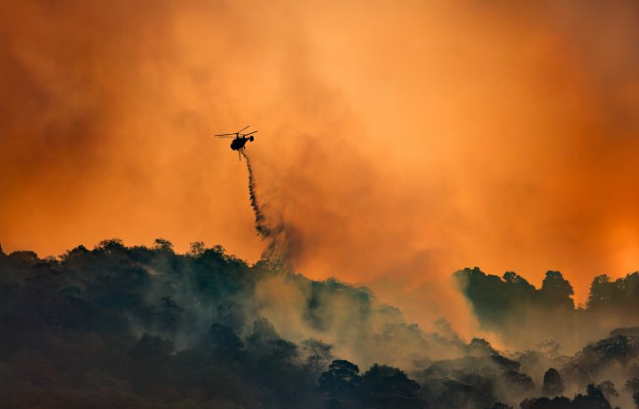 Incendios forestales en el Biobío y Ñuble: Expertos urgen avanzar hacia paisajes resilientes