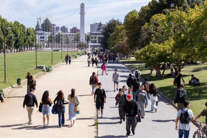 Jóvenes que ingresaron a la universidad en pandemia serían más individualistas