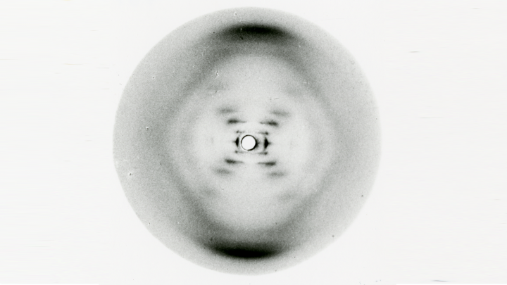 Foto 51 de Rosalind Franklin.