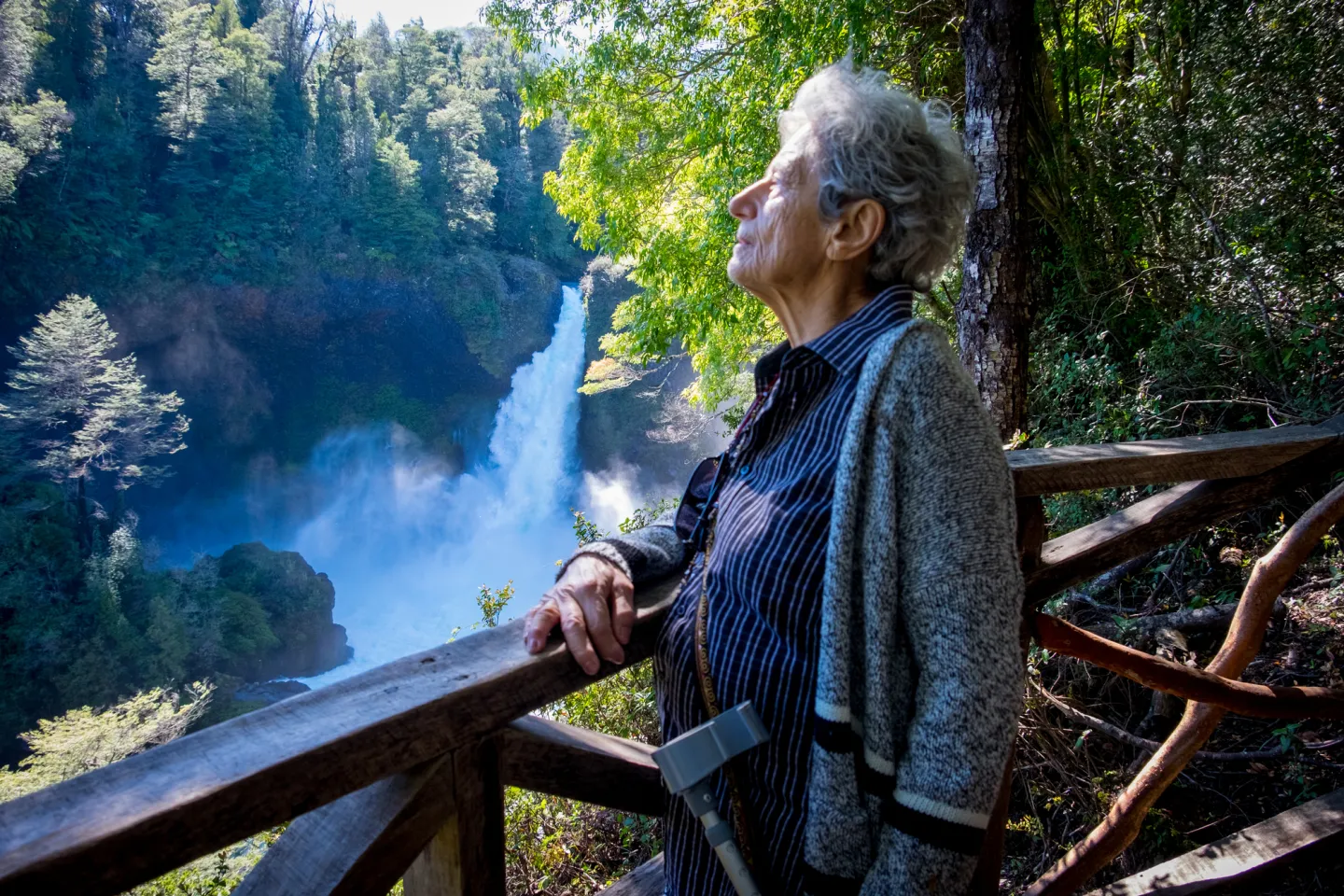 Adriana Hoffmann: La botánica que enseñó a leer la naturaleza y defender su biodiversidad