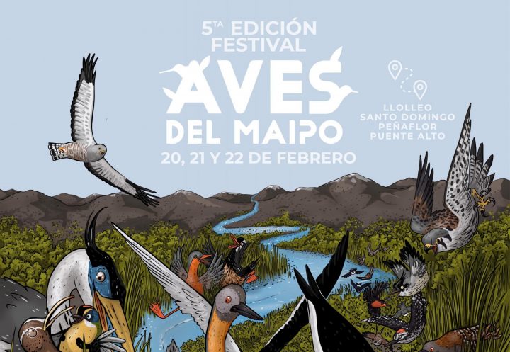 5° Festival de Aves del Maipo: Una cita con la biodiversidad y la conservación
